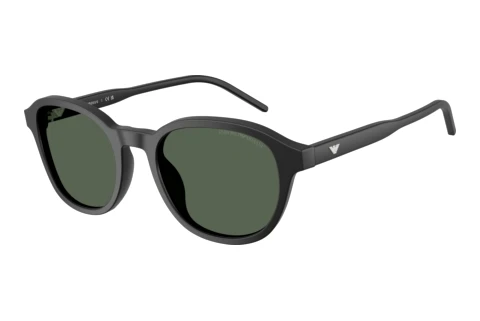 Sonnenbrille Emporio Armani EA4247U 500171