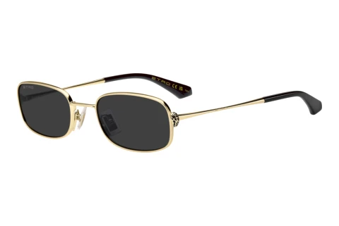 Sonnenbrille Etro ETRO 0159/S 000/IR