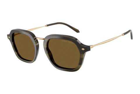 Sonnenbrille Giorgio Armani AR6190 616873