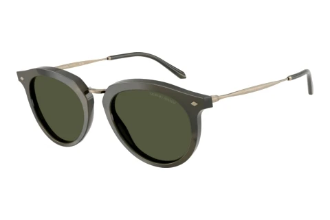 Sonnenbrille Giorgio Armani AR6191 646852