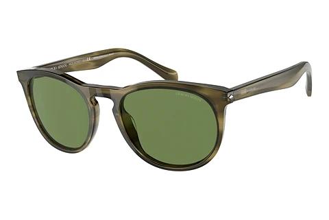 Sonnenbrille Giorgio Armani AR8149 59024E