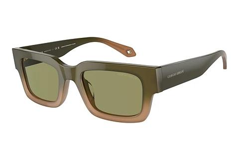 Sonnenbrille Giorgio Armani AR8184U 598214