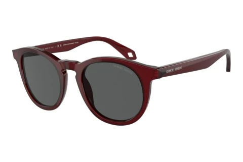 Sonnenbrille Giorgio Armani AR8192 6045B1