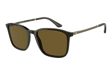 Sonnenbrille Giorgio Armani AR8197 503073