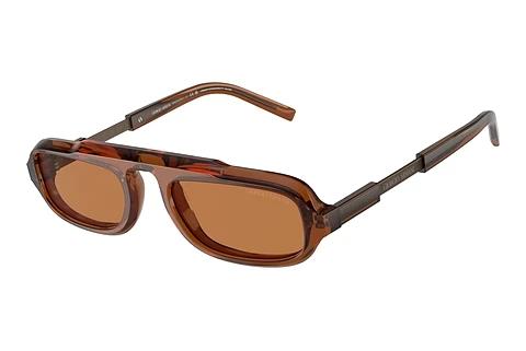 Sonnenbrille Giorgio Armani AR8203 604973