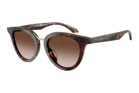Sonnenbrille Giorgio Armani AR8252U 612413