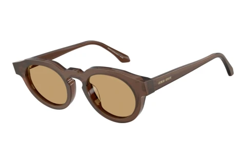 Sonnenbrille Giorgio Armani AR8255U 639473