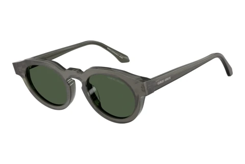 Sonnenbrille Giorgio Armani AR8255U 639671