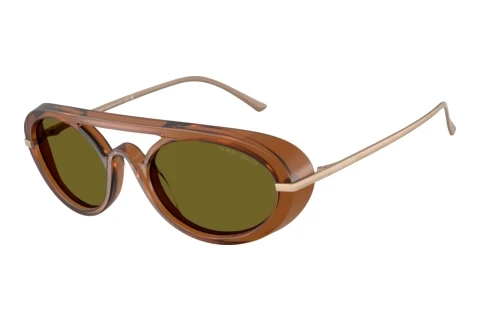 Sonnenbrille Giorgio Armani AR8256 6410/2