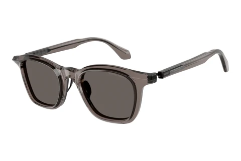 Sonnenbrille Giorgio Armani AR8257 6423B1