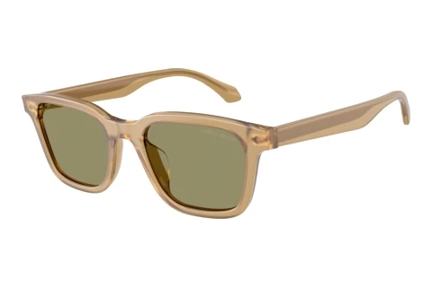 Sonnenbrille Giorgio Armani AR8265U 64732A