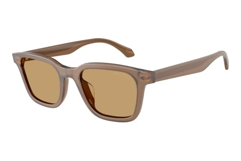 Sonnenbrille Giorgio Armani AR8265U 647573