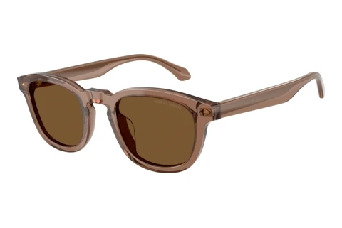 Sonnenbrille Giorgio Armani AR8266U 646973