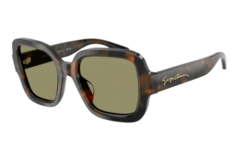 Sonnenbrille Giorgio Armani AR8268U 64782A