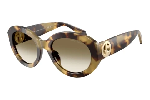 Sonnenbrille Giorgio Armani AR8269U 630113