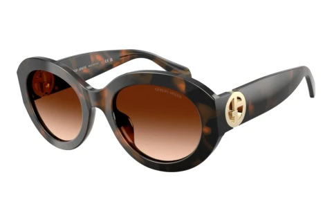 Sonnenbrille Giorgio Armani AR8269U 647874