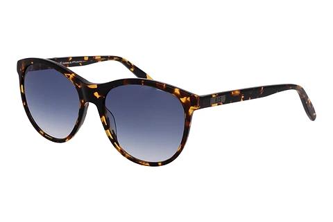 Sonnenbrille HIS Eyewear HS381 001