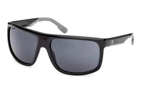 Lunettes de soleil Harley-Davidson HD00029 01A