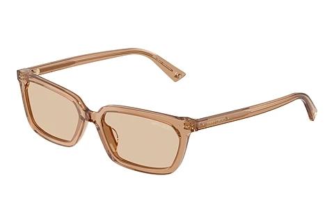 Sonnenbrille Jimmy Choo JC5050U 507693