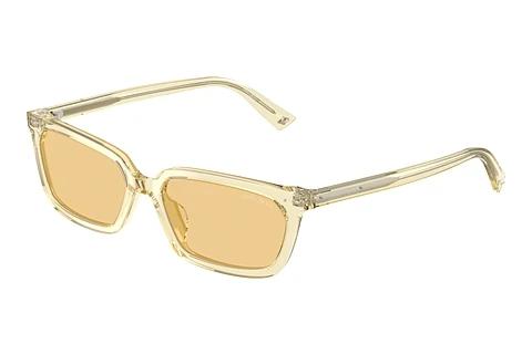 Sonnenbrille Jimmy Choo JC5050U 5083/8