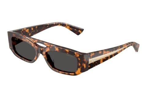 Sonnenbrille Jimmy Choo JC5070BU 512187