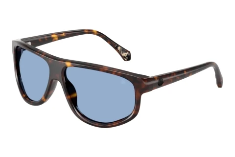 Sonnenbrille Moncler ICEBORNE (ME6033U 300280)