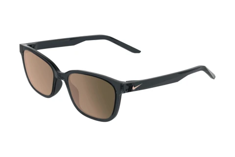 Sonnenbrille Nike NIKE FLASH P IQ7241X 060