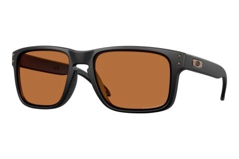 Sonnenbrille Oakley HOLBROOK (OO9102 9102AM)