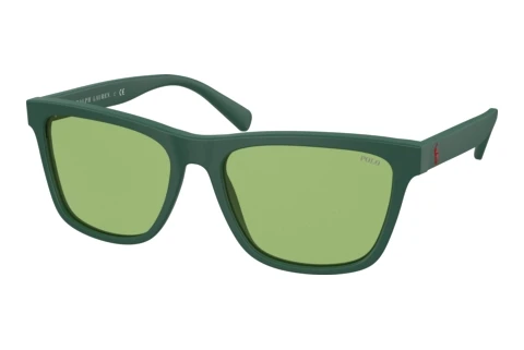 Lunettes de soleil Polo PH4167 5421/2