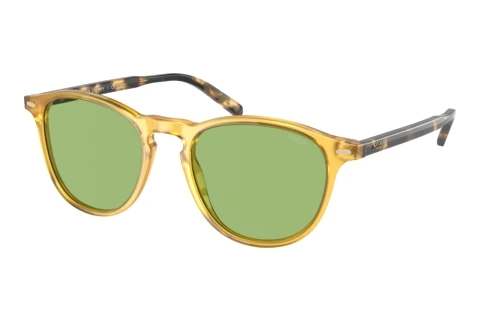 Sonnenbrille Polo PH4181 5005/2