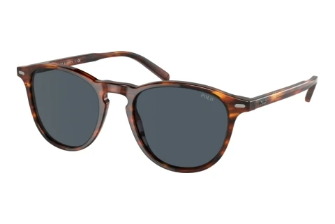 Sonnenbrille Polo PH4181 500787