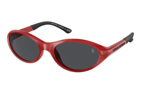 Lunettes de soleil Polo PH4197U 609187