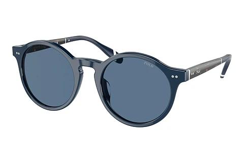 Lunettes de soleil Polo PH4204U 546580