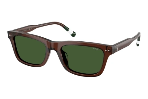 Sonnenbrille Polo PH4240U 631571