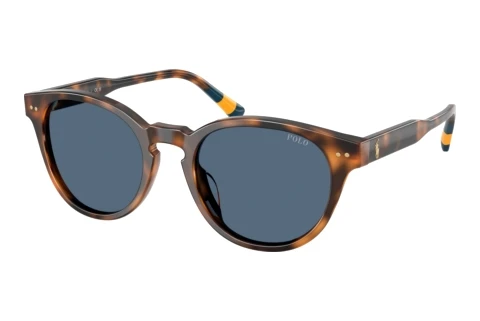 Sonnenbrille Polo PH4241U 608980