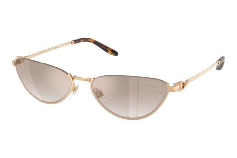 Sonnenbrille Ralph Lauren RL7095 94876E