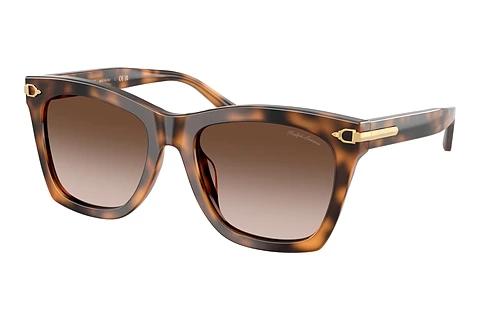 Sonnenbrille Ralph Lauren RL8235U 608913