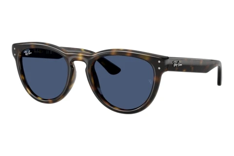 Sonnenbrille Ray-Ban RB2237 710/80