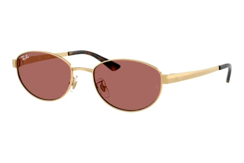 Sonnenbrille Ray-Ban RB3774D 001/69