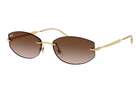Sonnenbrille Ray-Ban RB3792 001/13