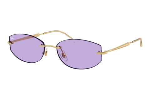 Sonnenbrille Ray-Ban RB3792 001/1A