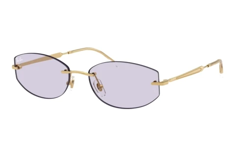 Sonnenbrille Ray-Ban RB3792 001/MH