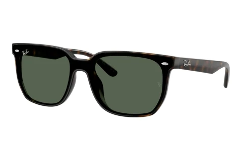 Sonnenbrille Ray-Ban RB4466D 710/71