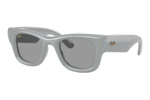 Lunettes de soleil Ray-Ban WAYFARER PUFFER (RB4940 6876/1)