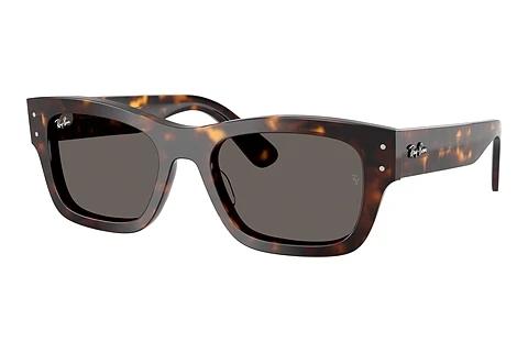 Sonnenbrille Ray-Ban JOSEPH (RB7683S 902/B1)
