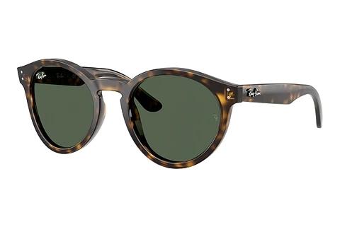 Sonnenbrille Ray-Ban RBR0505S 6790VR