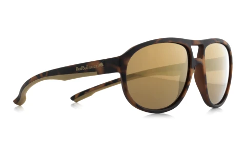 Sonnenbrille Red Bull SPECT BAIL 002P