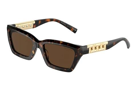 Sonnenbrille Tiffany TF4213 80153G