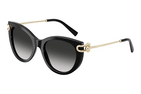 Lunettes de soleil Tiffany TF4232 80013C