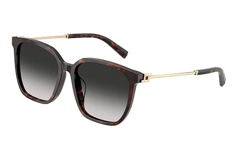 Occhiali da vista Tiffany TF4244D 80153C